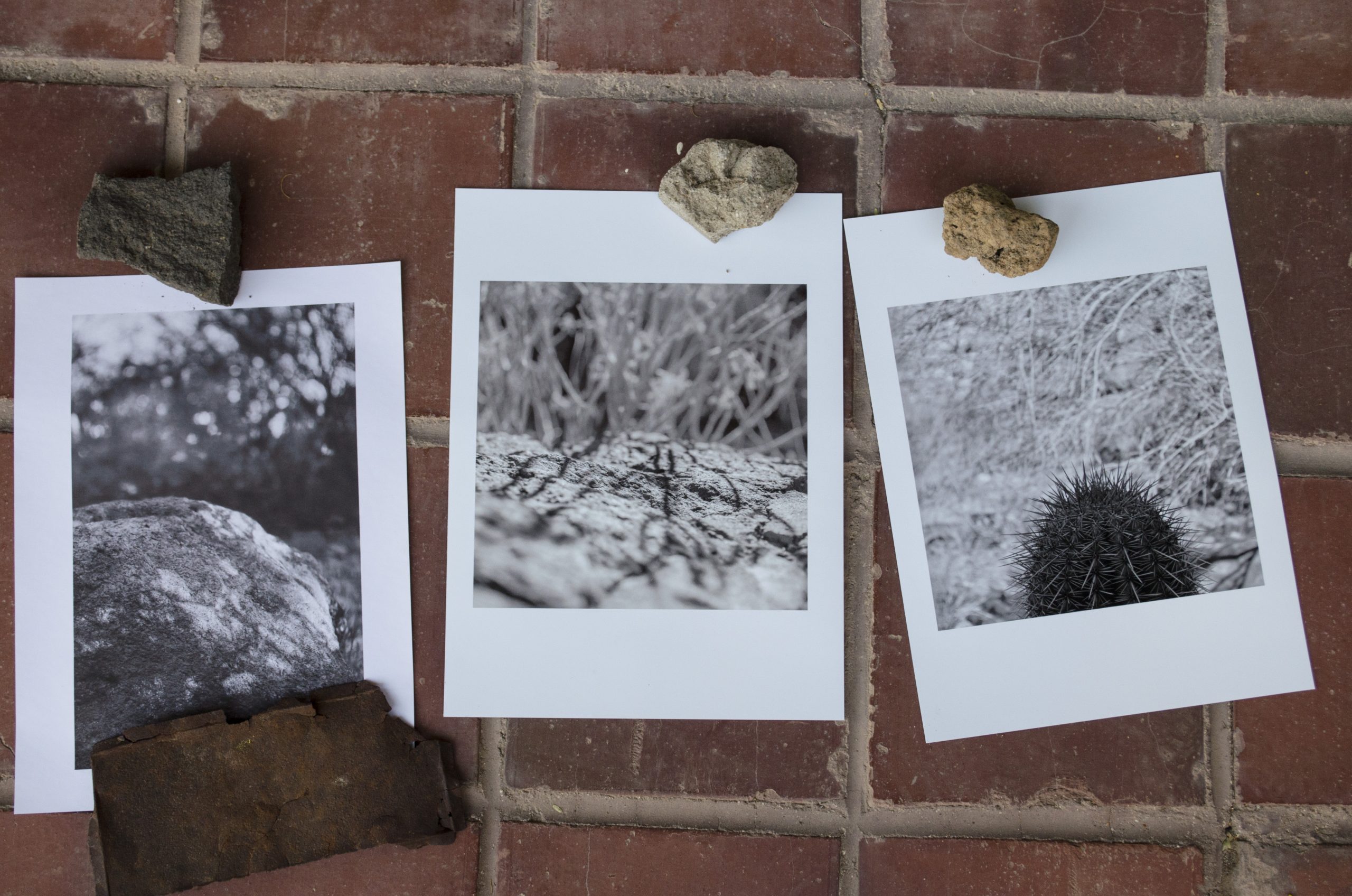Photographs, Plot #10 by Paul Mirocha